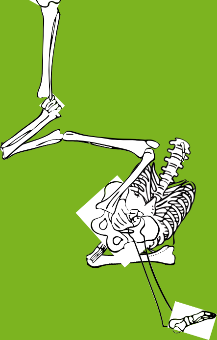 Dem bones dem bones dem – dry bones!