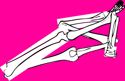 Dem bones dem bones dem – dry bones!