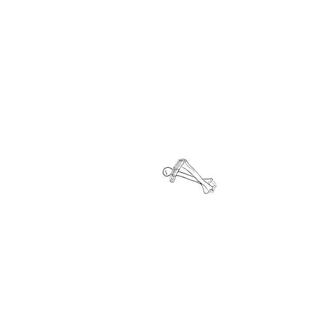 Dem bones dem bones dem – dry bones!