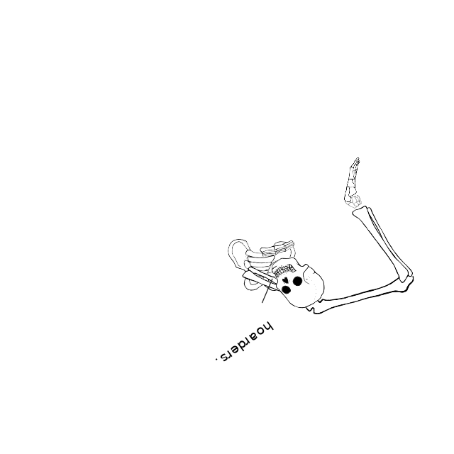 Dem bones dem bones dem – dry bones!