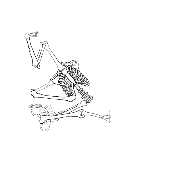 Dem bones dem bones dem – dry bones!