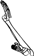 Dem bones dem bones dem – dry bones!