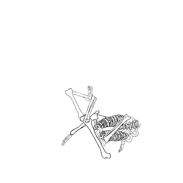 Dem bones dem bones dem – dry bones!