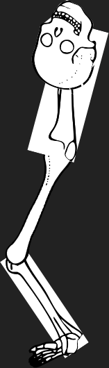 Dem bones dem bones dem – dry bones!