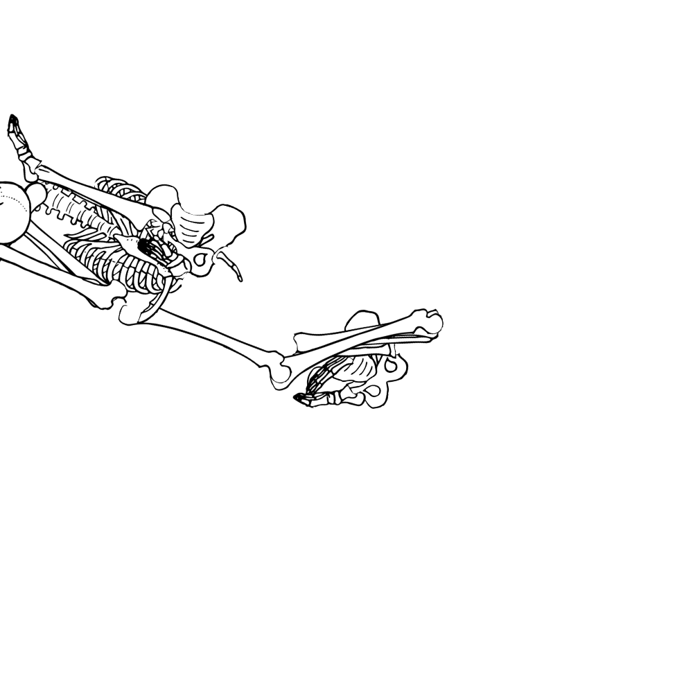 Dem bones dem bones dem – dry bones! Dem bones dem bones dem – extra bones!