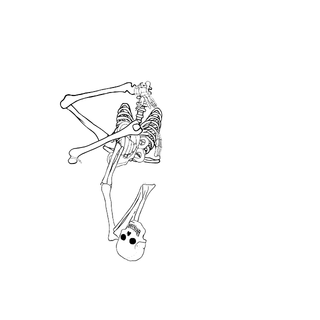 Dem bones dem bones dem – dry bones!