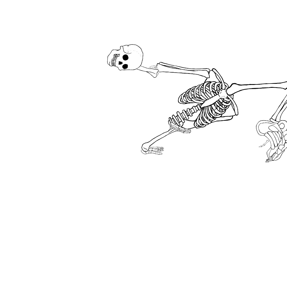 Dem bones dem bones dem – dry bones!
