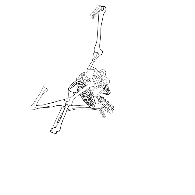 Dem bones dem bones dem – dry bones!
