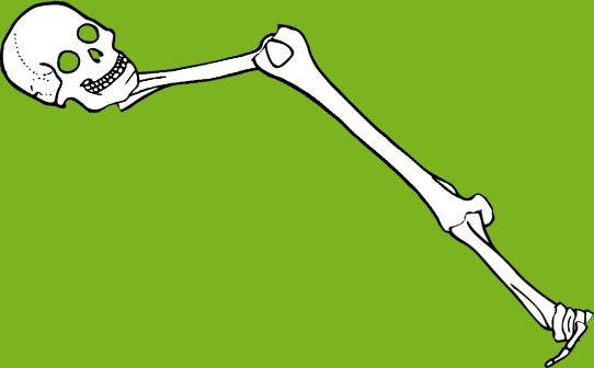 Dem bones dem bones dem – dry bones!