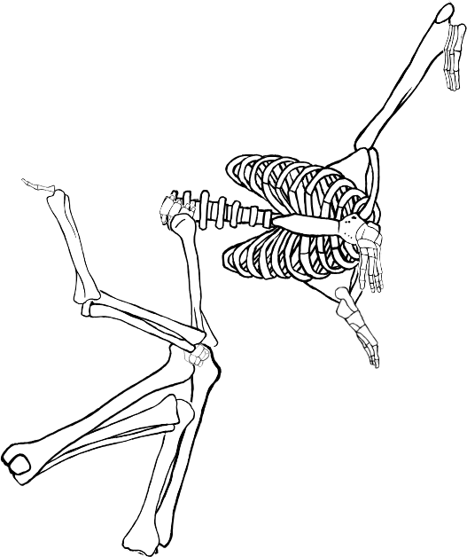 Dem bones dem bones dem – dry bones!