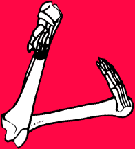 Dem bones dem bones dem – dry bones!