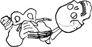 Dem bones dem bones dem – dry bones!