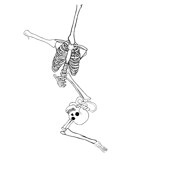 Dem bones dem bones dem – dry bones!