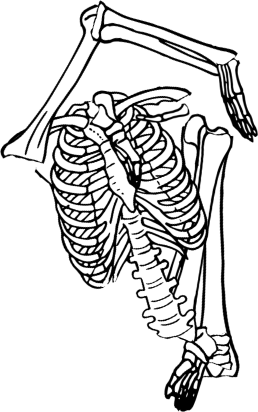 Dem bones dem bones dem – dry bones!