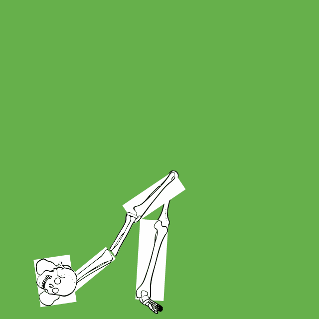 Dem bones dem bones dem – dry bones!