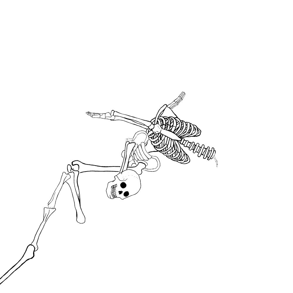 Dem bones dem bones dem – dry bones!