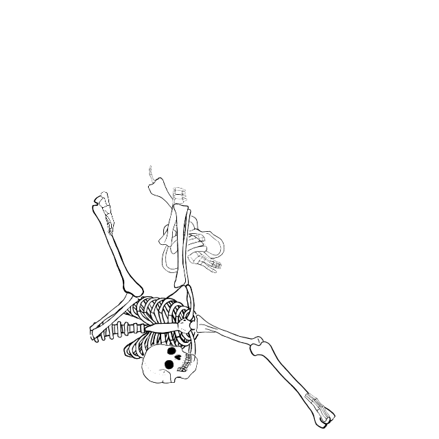 Dem bones dem bones dem – dry bones!