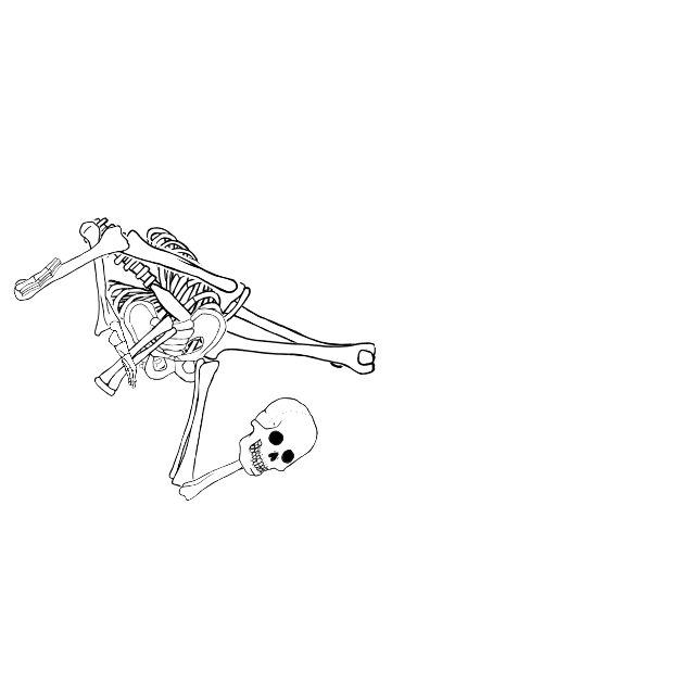 Dem bones dem bones dem – dry bones!