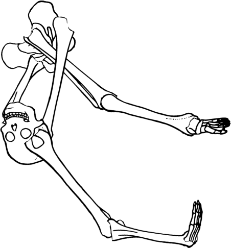 Dem bones dem bones dem – dry bones!