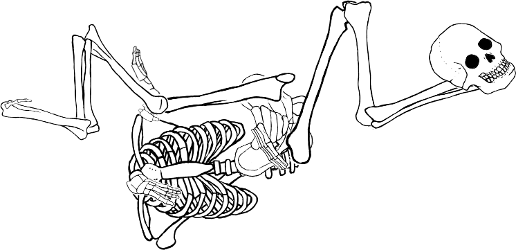 Dem bones dem bones dem – dry bones!