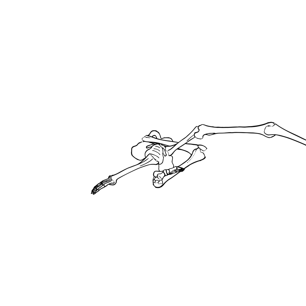 Dem bones dem bones dem – dry bones!