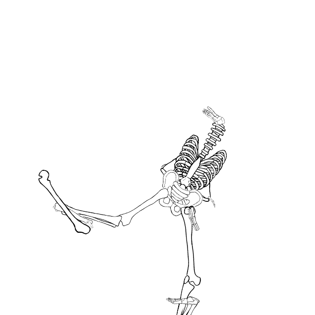 Dem bones dem bones dem – dry bones!