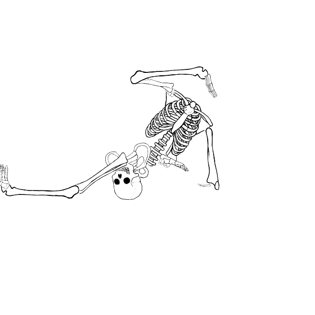 Dem bones dem bones dem – dry bones!