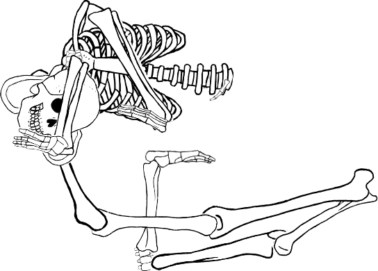Dem bones dem bones dem – dry bones!