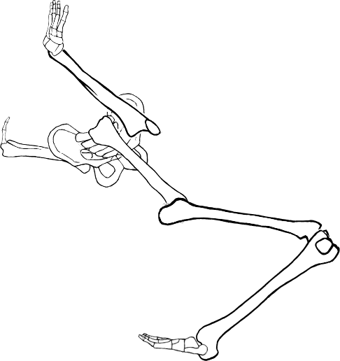 Dem bones dem bones dem – dry bones!