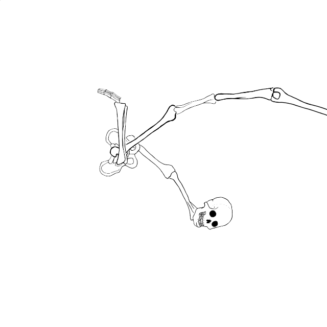 Dem bones dem bones dem – dry bones!