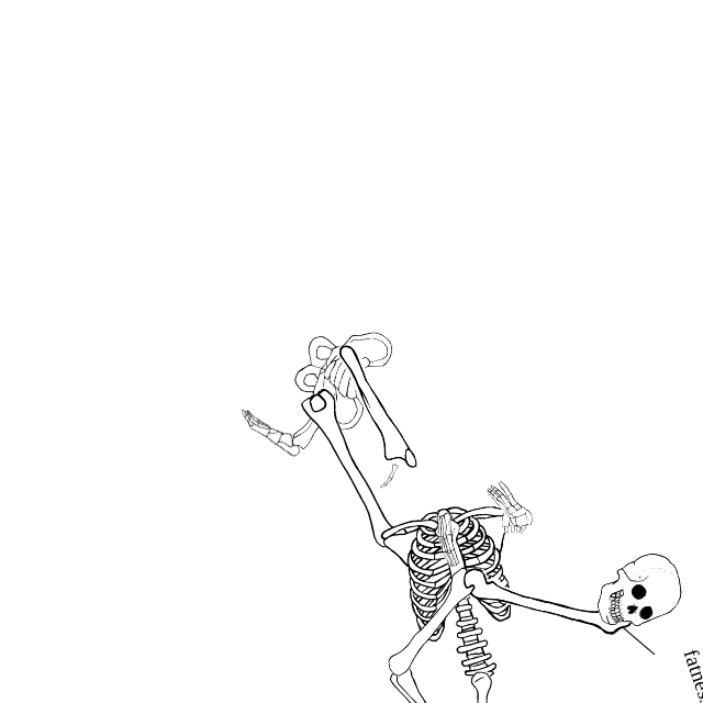 Dem bones dem bones dem – dry bones!