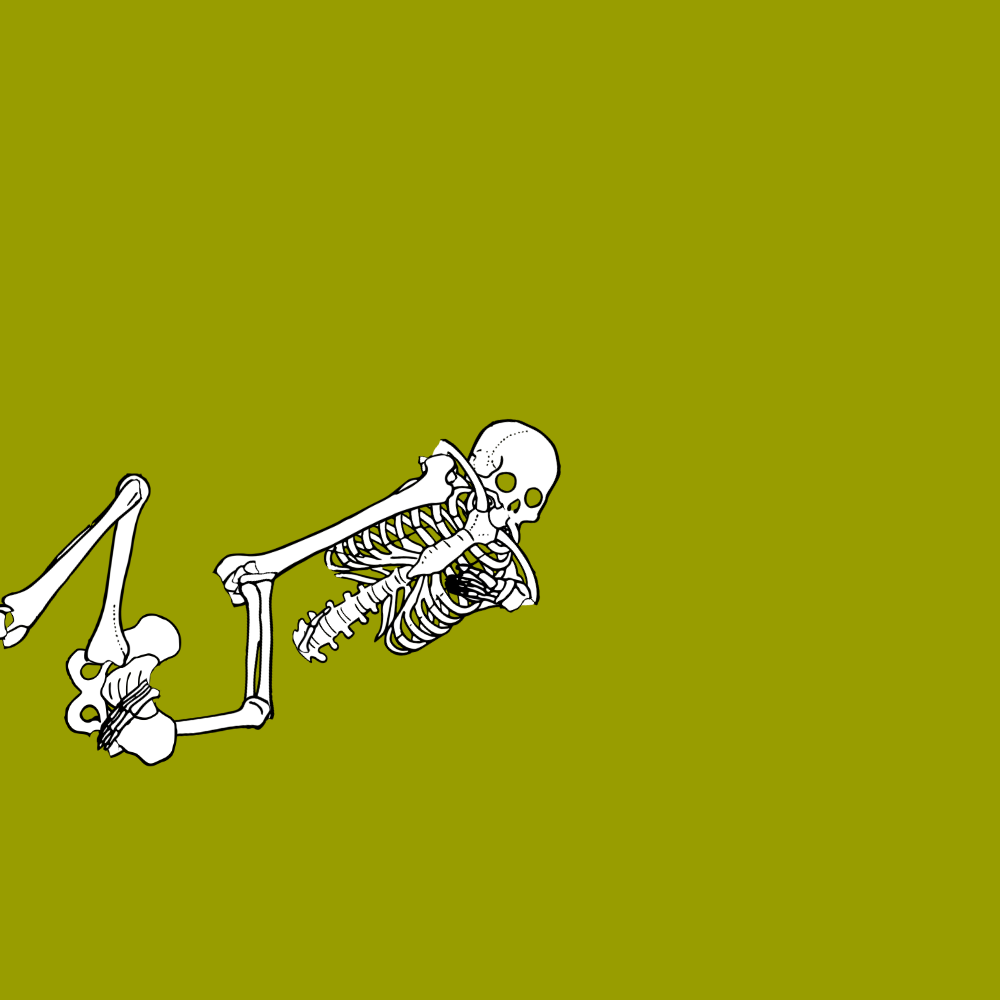 Dem bones dem bones dem – dry bones!