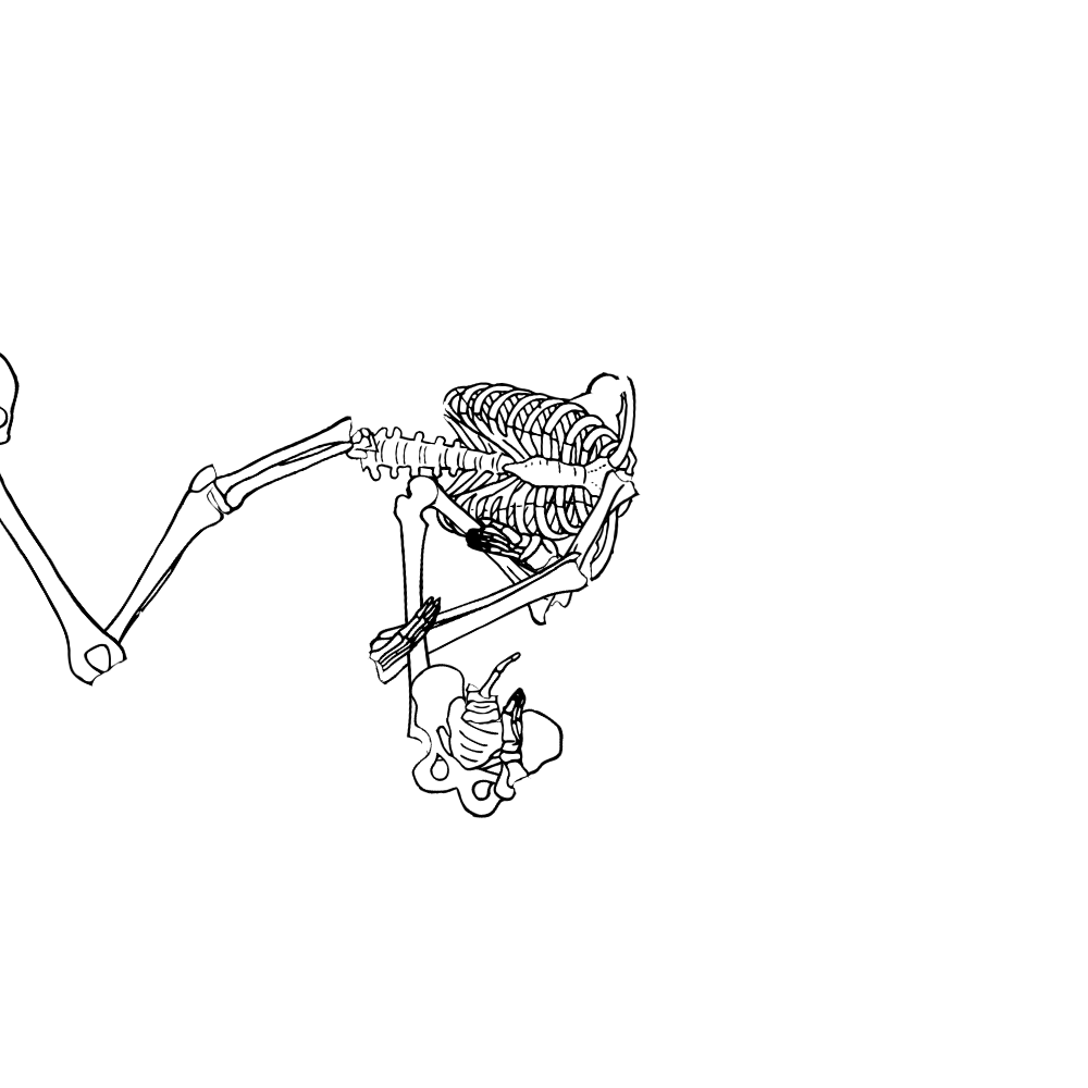 Dem bones dem bones dem – dry bones!