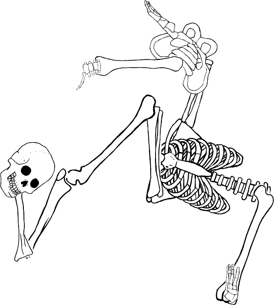Dem bones dem bones dem – dry bones!