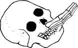 Dem bones dem bones dem – dry bones!