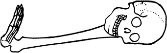 Dem bones dem bones dem – dry bones!