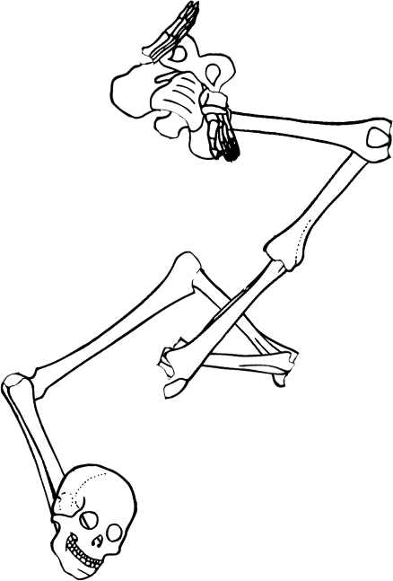 Dem bones dem bones dem – dry bones!