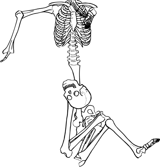 Dem bones dem bones dem – dry bones!