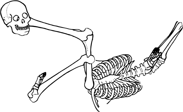 Dem bones dem bones dem – dry bones!
