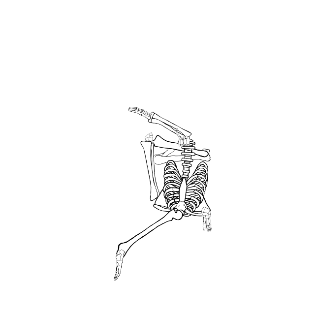 Dem bones dem bones dem – dry bones!