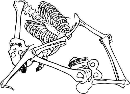 Dem bones dem bones dem – dry bones!