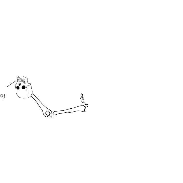 Dem bones dem bones dem – dry bones!