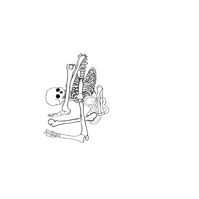 Dem bones dem bones dem – dry bones!