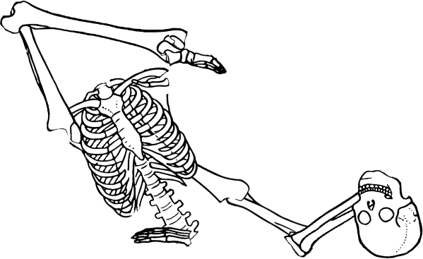Dem bones dem bones dem – dry bones!