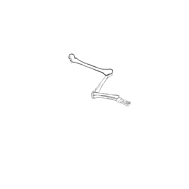 Dem bones dem bones dem – dry bones!