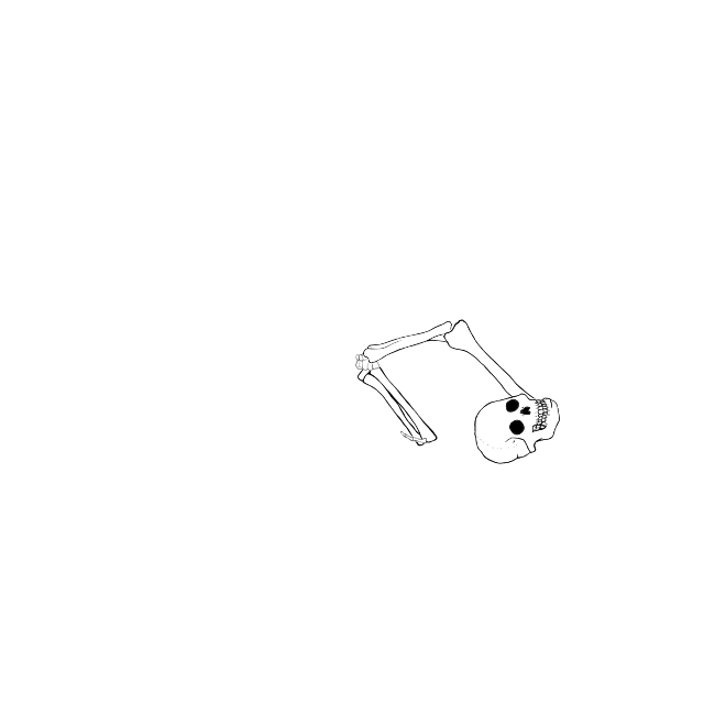 Dem bones dem bones dem – dry bones!