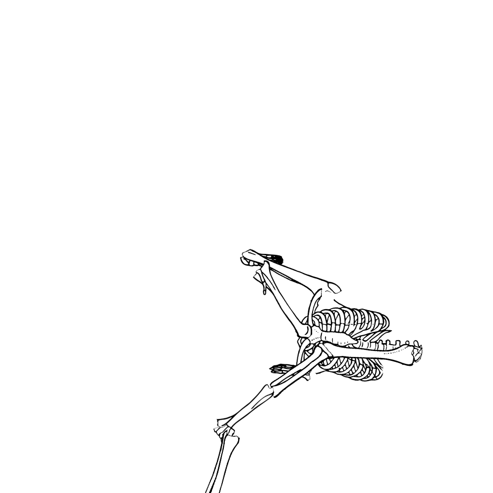 Dem bones dem bones dem – dry bones!