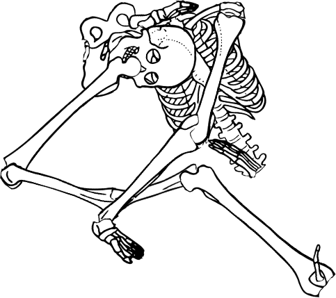 Dem bones dem bones dem – dry bones!