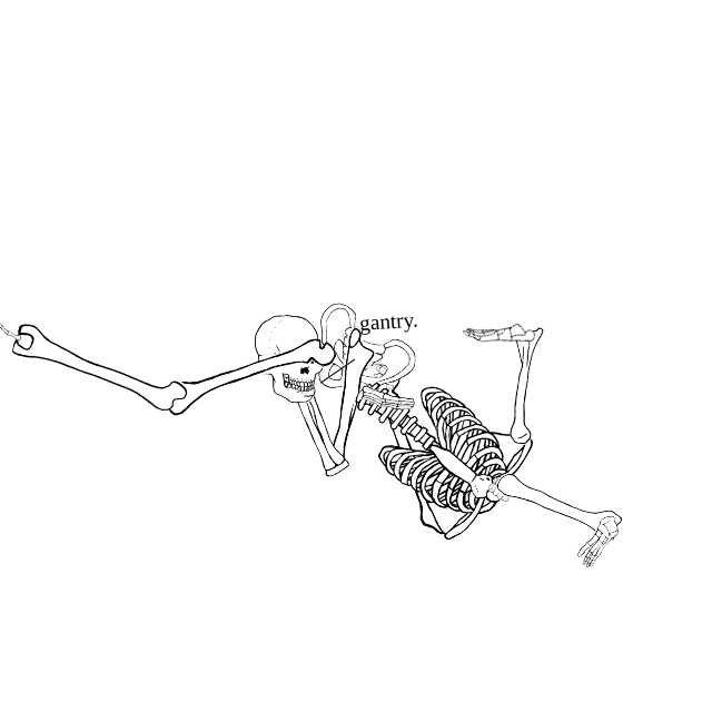Dem bones dem bones dem – dry bones!