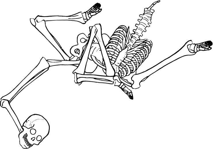 Dem bones dem bones dem – dry bones! Dem bones dem bones dem – extra bones!